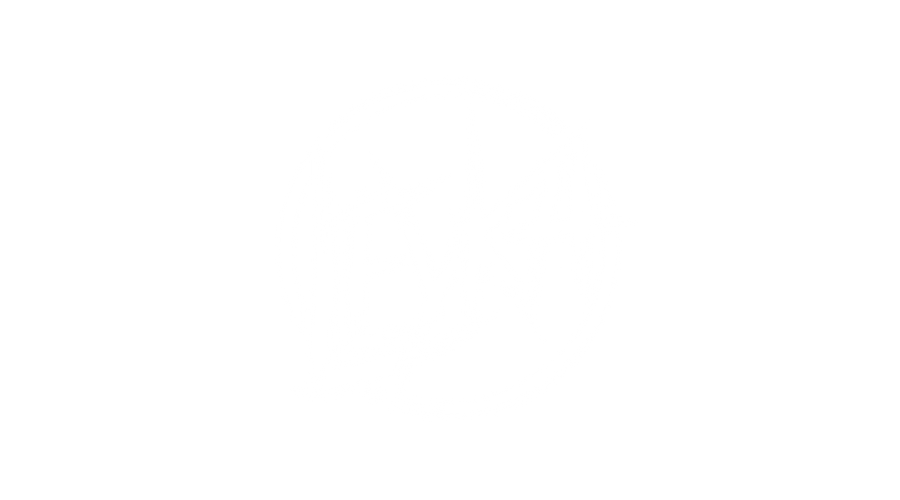 Logo der Band Leyka